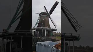 Subscribe for more. #traveling #citytour #avropa #travelvlog #zaanseschans #netherlands #travel