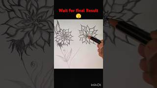 #pencildrawing #sketch #revodrop #flowerdrawing