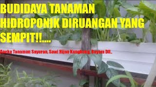 CARA BUDIDAYA TANAMAN HIDROPONIK DIPEKARANGAN RUMAH YANG SEMPIT