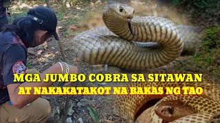 BAKAS NG SINAUNANG TAO ANG BUMUNGAD #cobraprince #baitancobra #cobrateam #tolcobra #cobraking