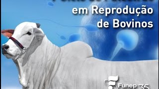 V Ciclo de Palestras em Reprodução de Bovinos