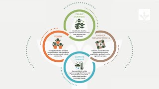 HRNS Theory of Change