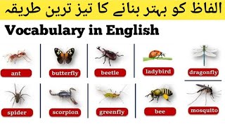 Easy way to improve your English vocabulary | Vocabulary in English