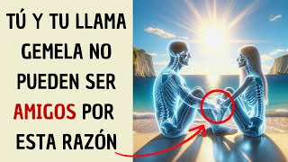 ¿Pueden las Llamas Gemelas Ser Solo Amigos? ⎮ Amistad de Llamas Gemelas / Friendzone