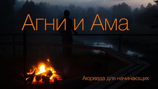 Агни и Ама. Аюрведа для начинающих.