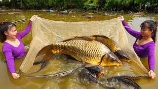 Harvesting Fish goes to market sell - Catch fish with Phương Free Bushcraft | Tieu Toan New Life