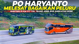 PO HARYANTO JAVA ROCK IN LAND MELESAT BAGAIKAN PELURU ❗HUNTING BUS SORE HARI DI TOL TRANS JAWA