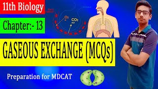 Chapter#13 | Gaseous Exchange | MCQs | 11th Biology | Preparation for MDCAT.