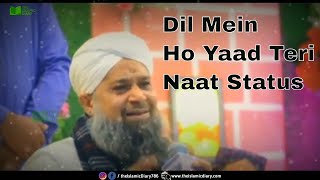 Dil Mein Ho Yaad Teri Ghosa E Tanhai Ho Naat Status | Naat Whatsapp Status | Owais Raza Qadri Status