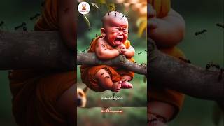 😭so cute little monk baby with ants 😭 cute baby ❤️ #shorts #cute #funny #cutebaby