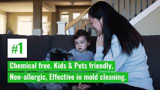 Steamer | What are the benefits of using steam cleaning?