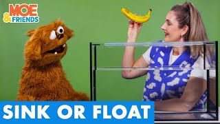 Silly SINK or FLOAT | Science Challenge for Kids | Collab with @musicwithmichal