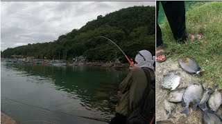 Betah !!! Siapapun Kerasan Kalau Mancing Ikan Baronang Seperti ini #Rabbitfish #Rabbitfishfishing