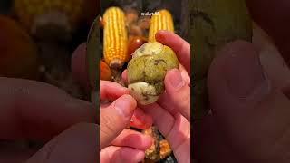 p596 | Balut eggs are super delicious #asmr #mukabang #funny