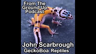 New Leopard Gecko Gene W/ John Scarbrough of Geckoboa