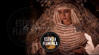 [ESTRENO] La Esperanza de María - ESENCIA FLAMENCA | Virgen de los Reyes