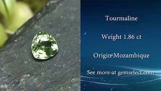 VIVID Green Trillian-Cut Tourmaline: GemSelect Video Review