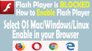 How to Enable Flash Player on Browser | Flash player is block | How to fix | How to Download Flash