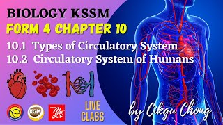 10.1 Types of Circulatory System and 10.2 Circulatory System of Humans