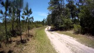 More Dual sport fun in Central Florida with a DRZ440, a DRZ400 and a KLR650