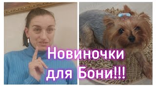 ВЛОГ Заказы Avon и новинка для Бони.