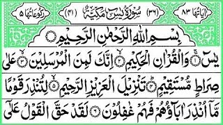 surah yaseen ❤️ Surah Rahman ❤️ Surah Waqia ❤️ Surah Mulk ❤️ beautiful recitation ❤️ Heart touching