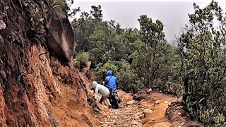 OFF ROAD PONDOK SALADAH PAPANDAYAN