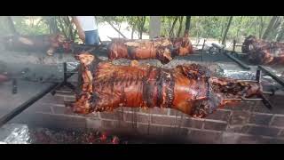 🐖 FESTA NACIONAL DO PORCO ASSADO NO ROLETE