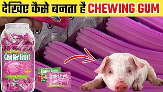 देखिए Factory में  Chewing Gum कैसे बनती है | Factory Mein Chewing Gum Kaise Banti Hai | Chewing Gum