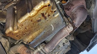 Peugeot 307 306 308 engine oil leak. oil cooler bracket seal. Intake manifold. Oil pump bolts.