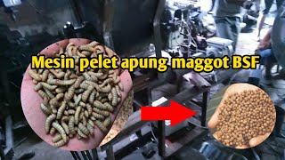 Mesin pelet apung maggot skala rumahan untuk pakan ternak lele