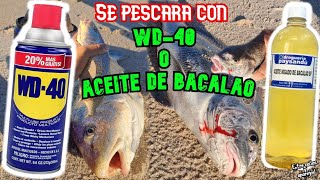 SE PESCARA más con WD-40 o Aceites de Bacalao⁉️🎣🐟/Canelones,Uruguay 🇺🇾// @entrecanasyaparejos2396