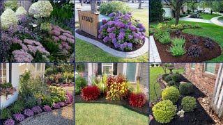 Most stylish Front Yard design Landscaping ideas