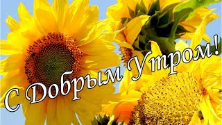 С ДОБРЫМ УТРОМ !🌼Желаю Самого Доброго Солнечного Утра!🌼  Шикарная Музыкальная открытка🌼