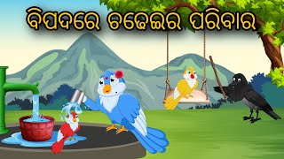 Bipadare Chadheir Paribar | Odia Gapa | Odia Cartoon | Odia Bird Stories | Odia Chadhei Gapa