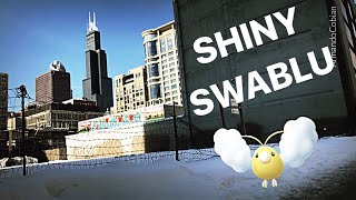 Shiny Swablu Game Freeze!! Catching & Evolving to Shiny Altaria in Pokemon Go