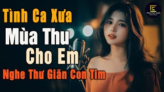 Nhạc Xưa Tình Ca Cực Hiếm, Toàn Bài Hay Vô Cùng Đắt Giá | Khúc Tình Ca Phòng Trà Hải Ngoại Chọn Lọc