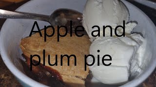 Apple and plum pie