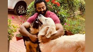 World Animal Day 2020 | Unni Mukundan