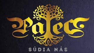 PALEC - Súdia nás