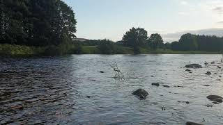 From The Bonny Banks of The Dee