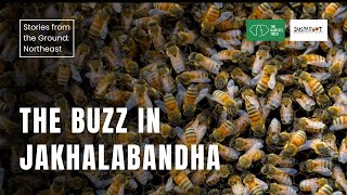 The Buzz in Jakhalabandha |  Stories from the Ground: Northeast India | The Habitats Trust Films