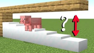 pig is small and big ? #minecraft #meme #memes