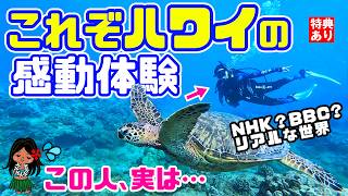 ハワイ旅行🔰 初心者が人気のハワイでウミガメと泳いでみた🌈ハワイでしか見れない生き物🌎ハワイ女子ひとり旅🥽おすすめPADIダイビングライセンス:サンシャインスキューバ 日本人 ハワイ最新情報