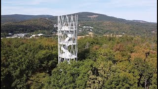 Neuer Hardtbergturm bei Königstein