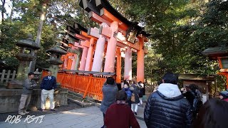 Japan Vlogs #3 - Part 1: Visiting Fushimi Inari-Taisha