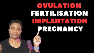 Understanding Ovulation, Fertilisation, Implantation, and Pregnancy