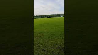 Hambledon Cricket Ground 🏏