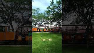 Don't miss this place in Mysore ! #mysore #mysorepalace #travel #travelvlog #railway #toytrain