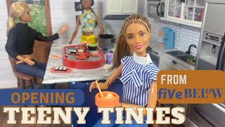 Opening Teeny Tinies From Five Below |Miniature Accessories